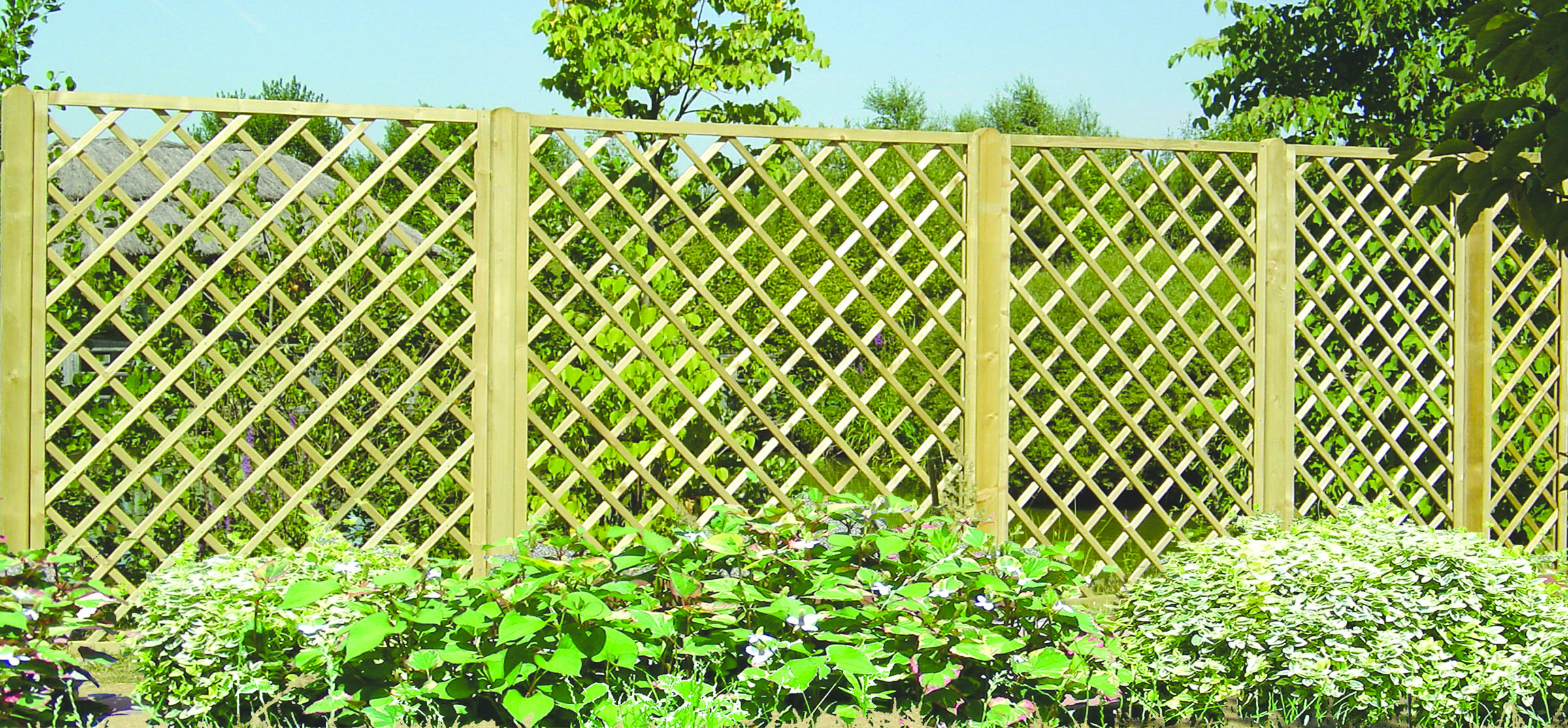 mehrer Rankgitter nebeneinander Rankgitter