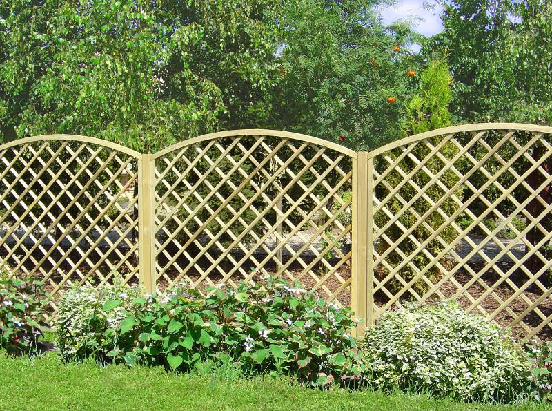 Rankgitter mit Bogen Rankgitter mit Bogen